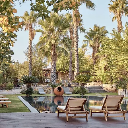 Jungle Eva - With Pool & Gardens 빌라 Bodrum